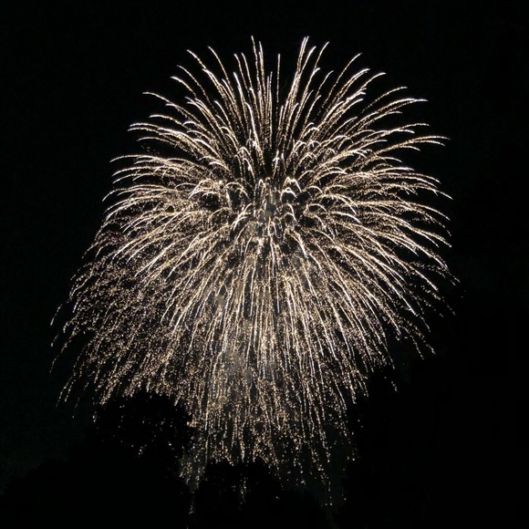 Meet your Posher, Laura - Picture 3 of 3